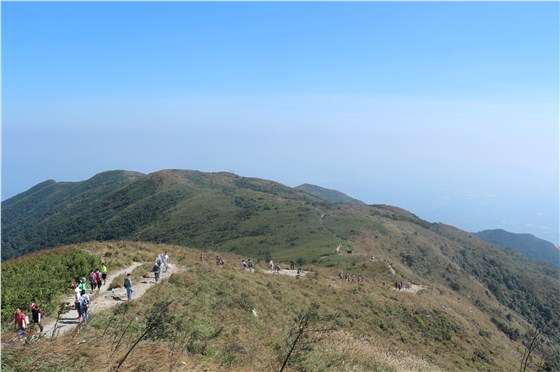 怡人的风景